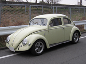'55 TYPE-1 OVAL